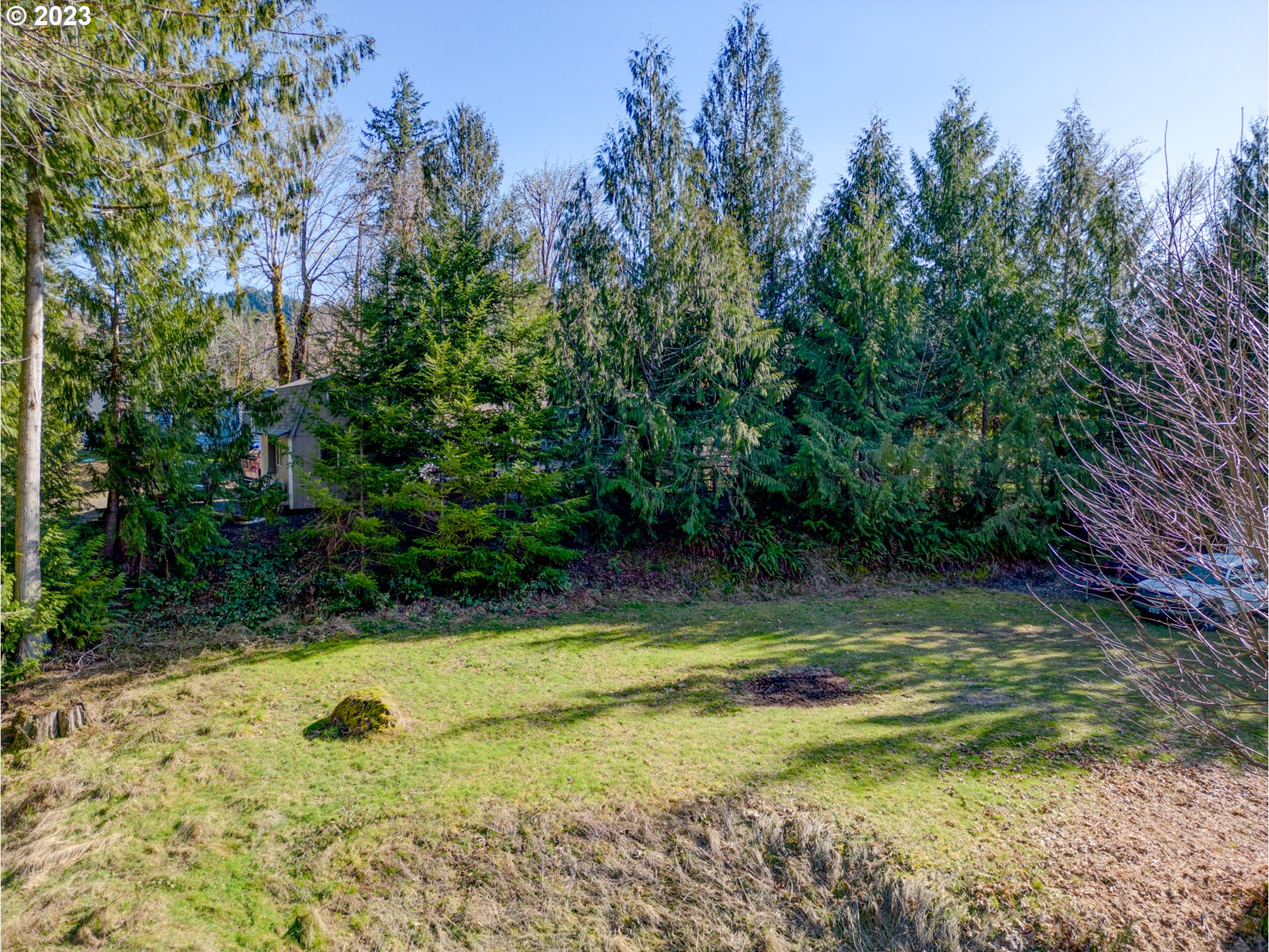 2 Lakes Lane Blachly, OR 97412 - Photo 7 of 12 a view of a backyard
