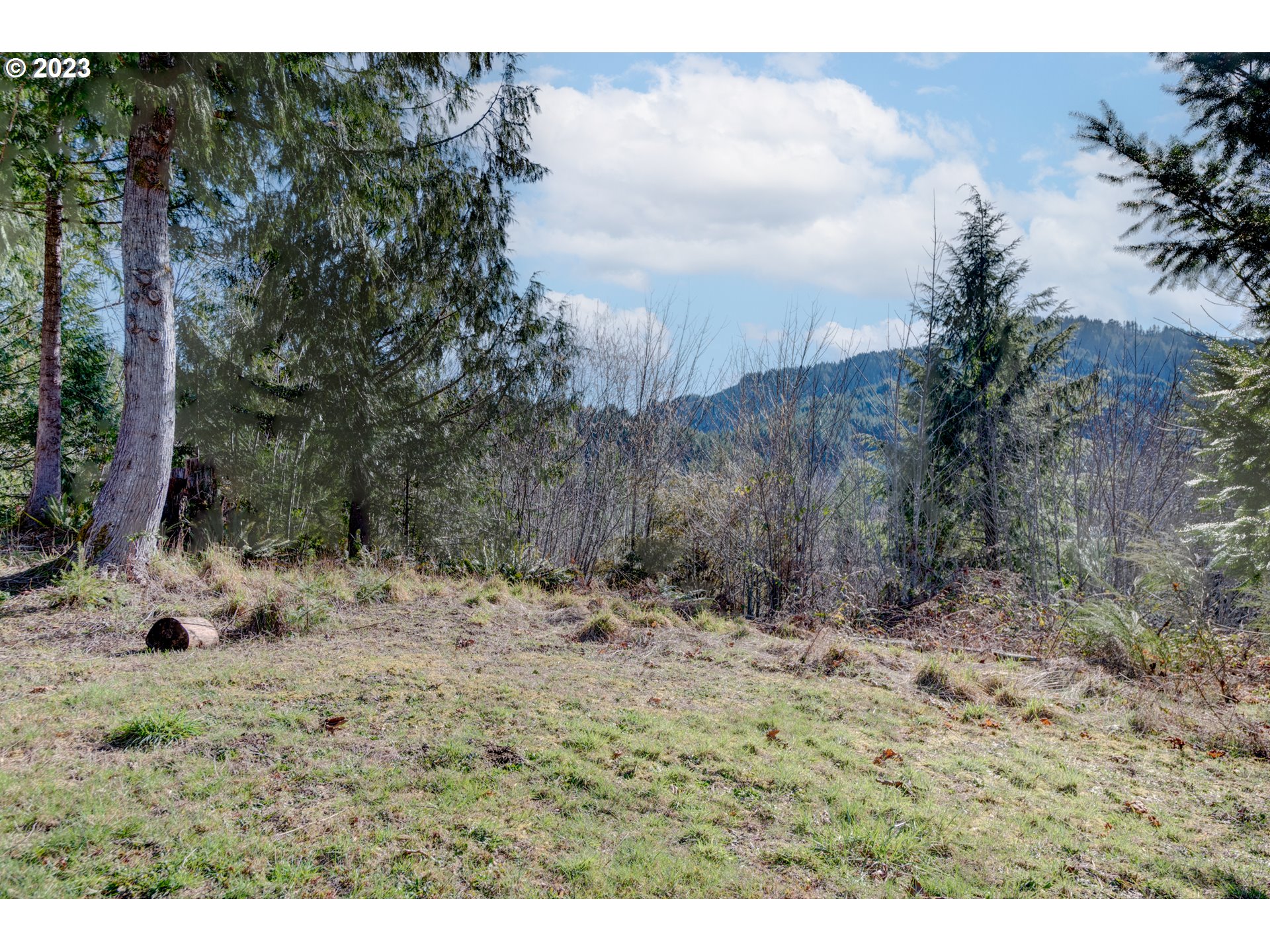 2 Lakes Lane Blachly, OR 97412 - Photo 9 of 12 a view of a dry yard