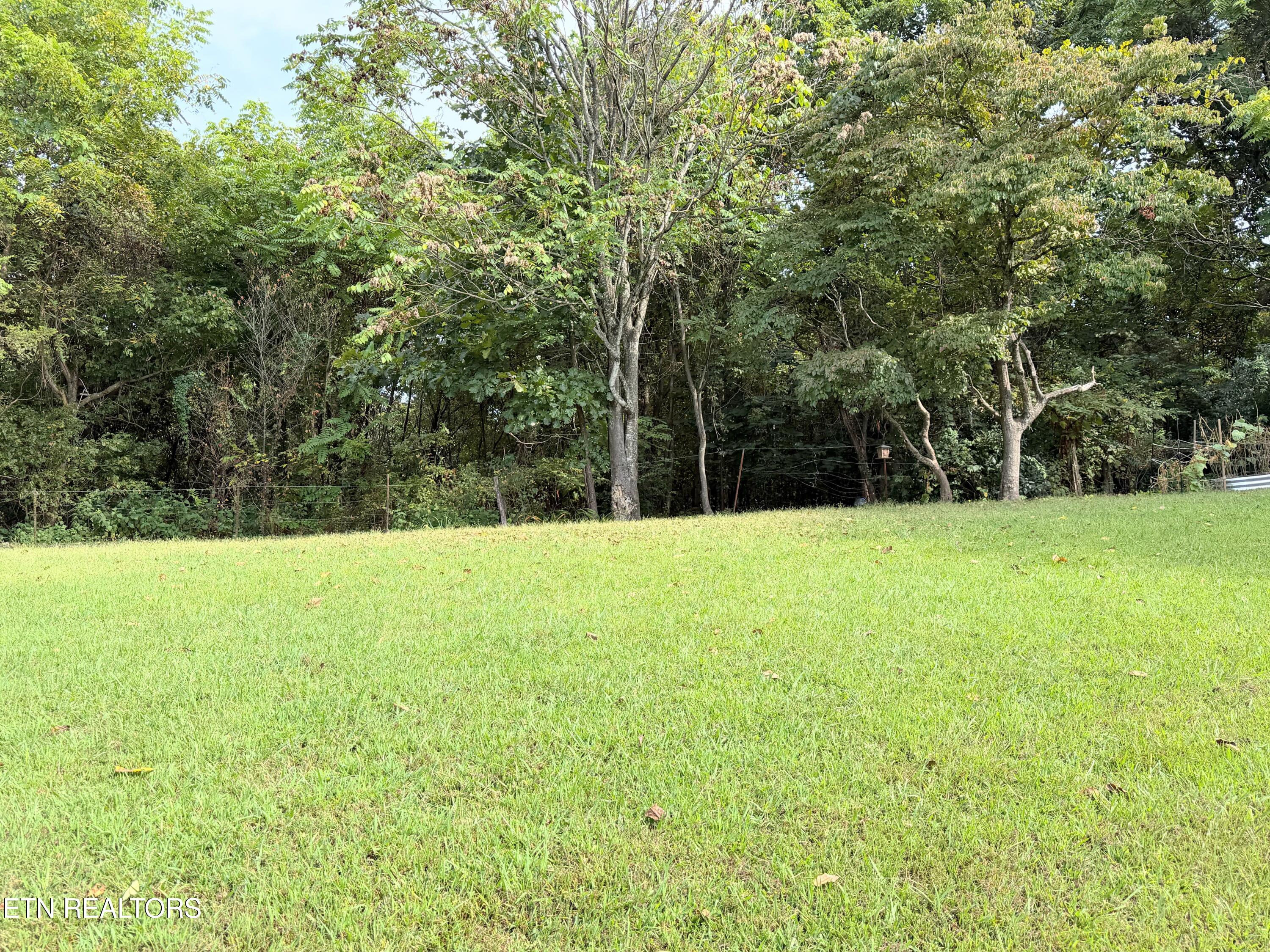 195 Booker Road Maynardville, TN 37807 - Photo 18 of 20 Back Yard