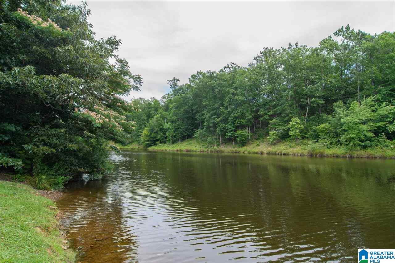 2844 Aster Lake Road Helena, AL 35022 - Photo 49 of 50 Gallery Image 49