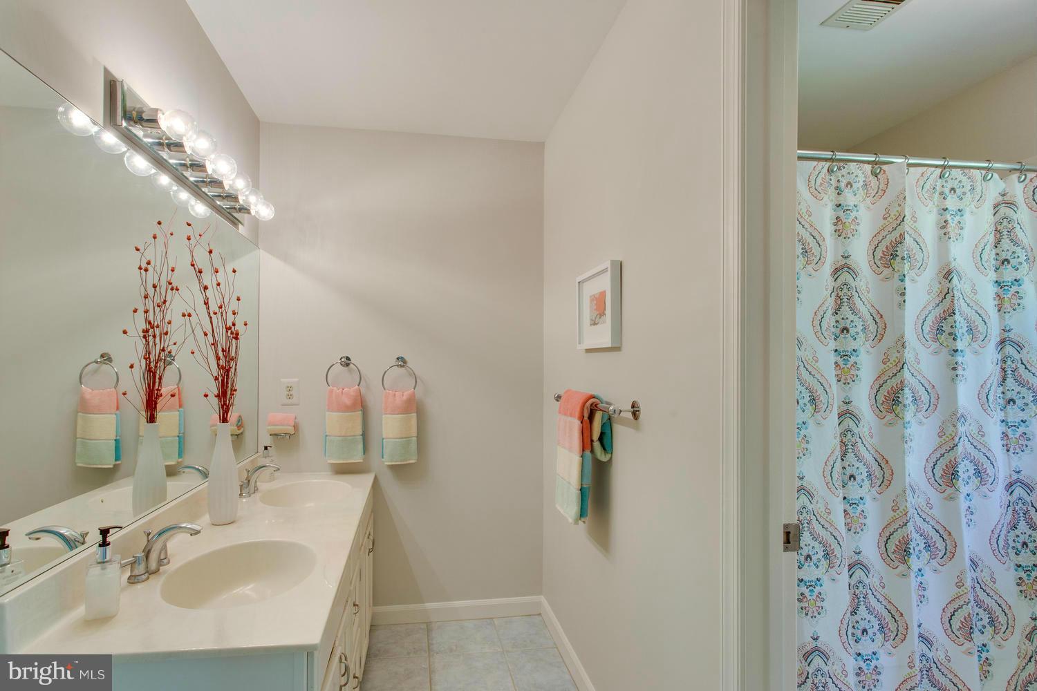 6263 Park Road McLean, VA 22101 - Photo 14 of 28 Bath (Master)
