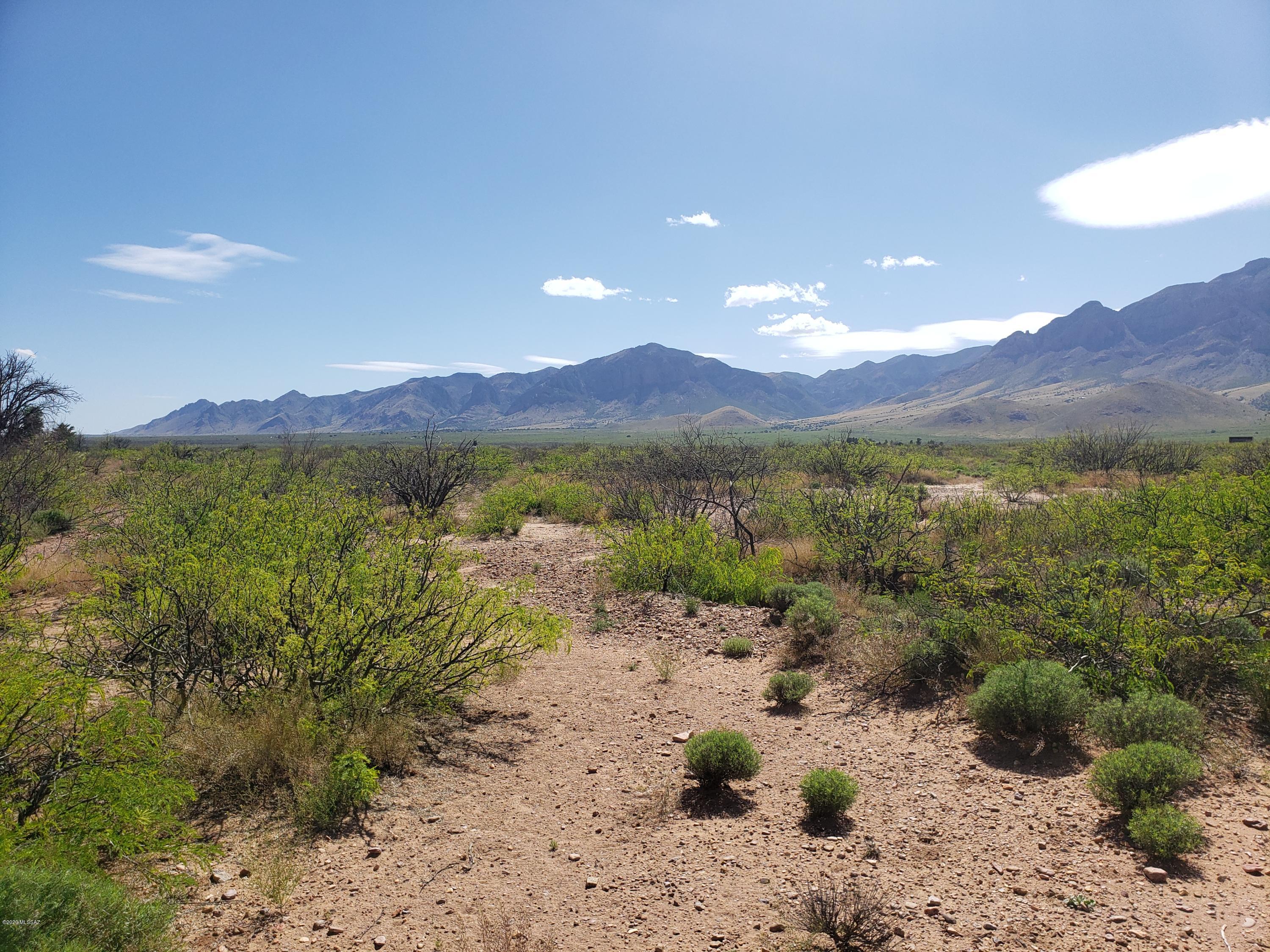 Portal Road San Simon, AZ 85632 - Photo 4 of 5