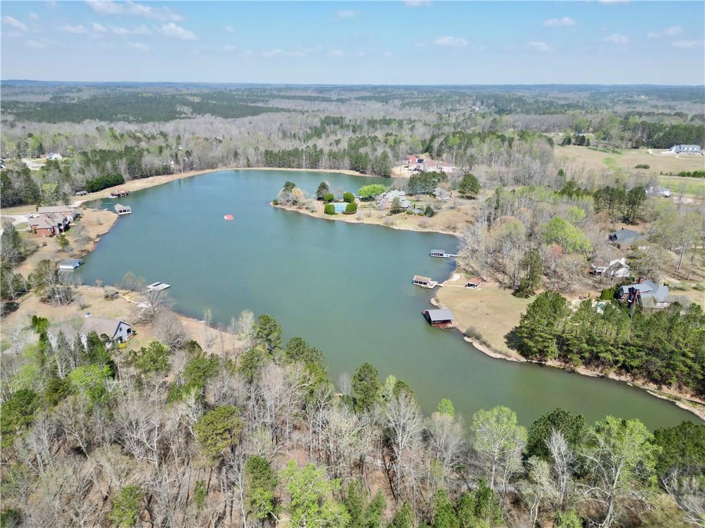 125 Tricias Way Temple, GA 30179 - Photo 33 of 39 an aerial view of a houses with ocean view