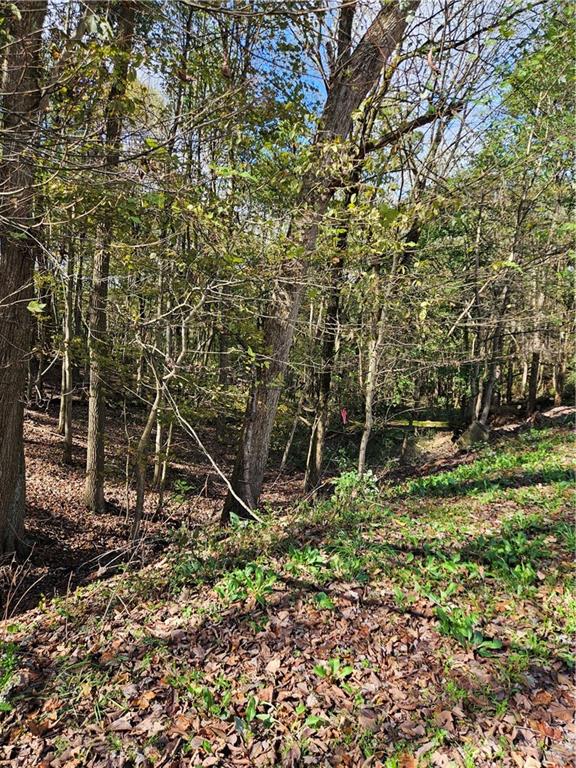 0 Ridge Road Darlington, PA 16115 - Photo 3 of 3 Gallery Image 3