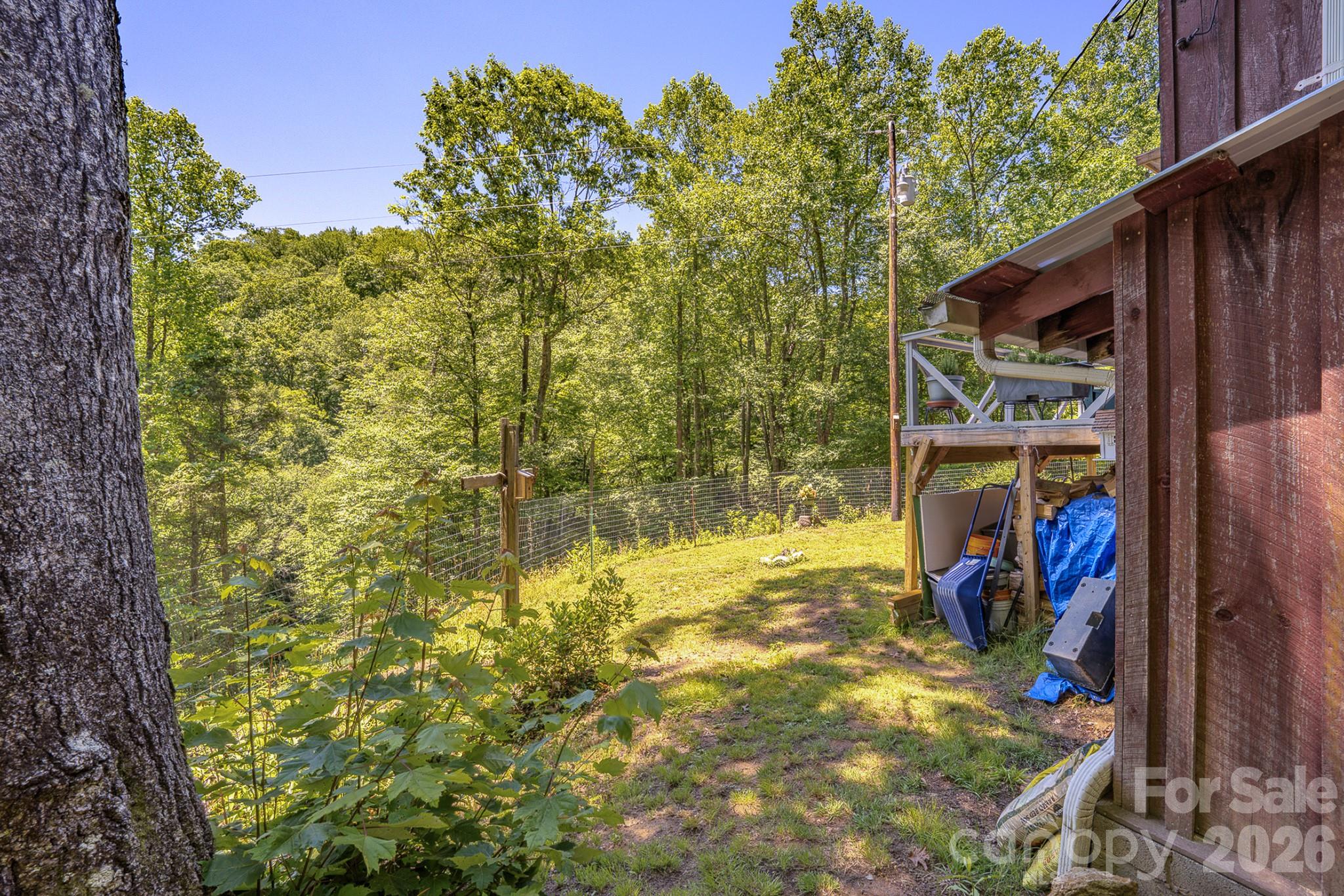 1712 Little Crk Road Hot Springs, NC 28743 - Photo 40 of 44
