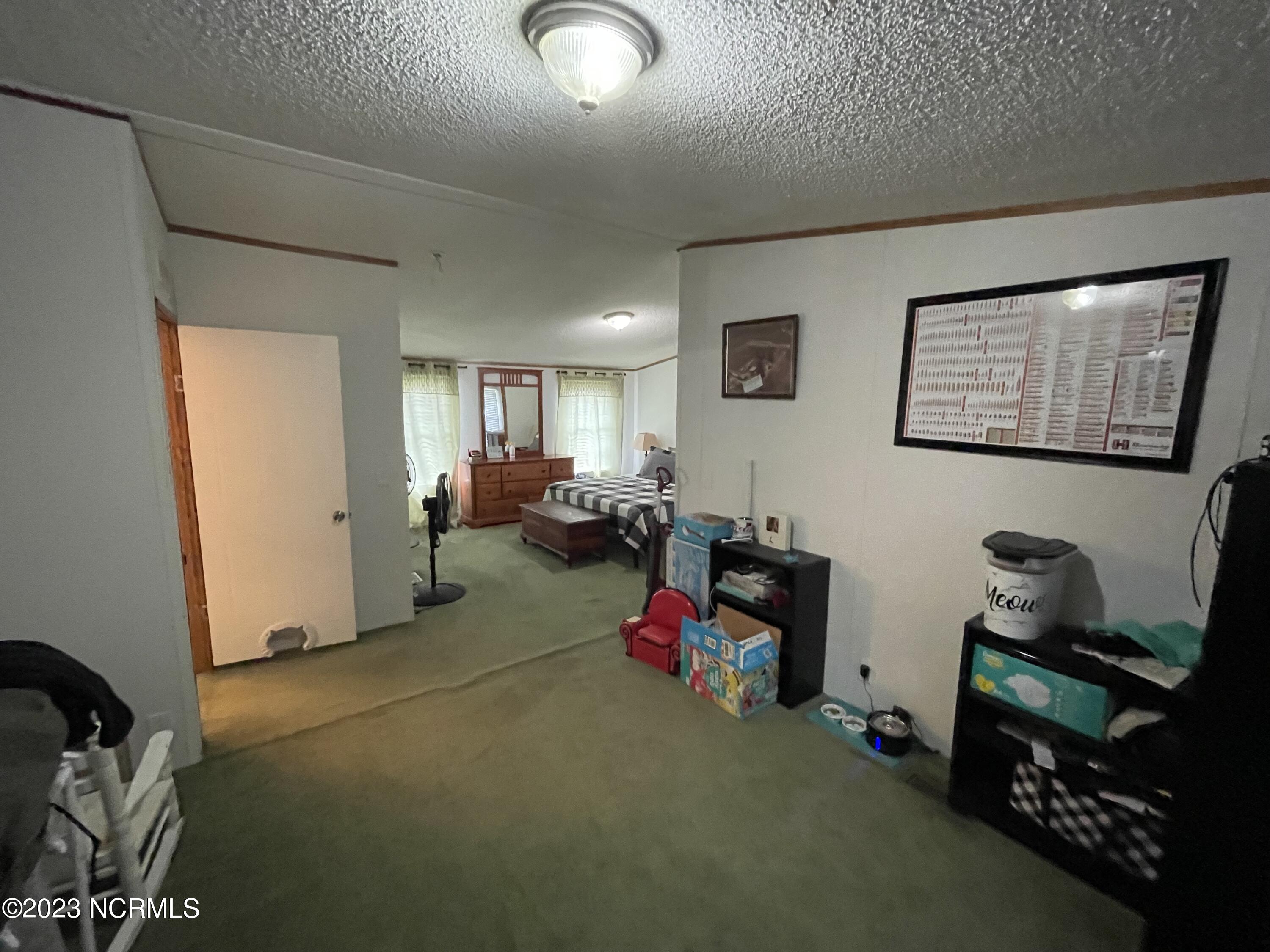 229 Wiccacon Road Cofield, NC 27922 - Photo 16 of 49 MAIN BED (2)