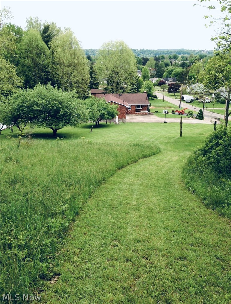 976 Braun Road Belpre, OH 45714 - Photo 6 of 48 28 ACRES IN BELPRE!!!