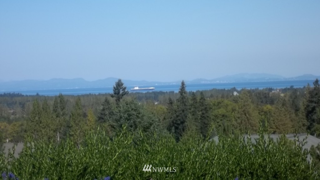 115 Les Saints Road Sequim, WA 98382 - Photo 13 of 14