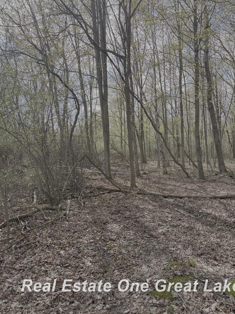 6000 Lange Road Birch Run, MI 48415 - Photo 3 of 13 Gallery Image 3