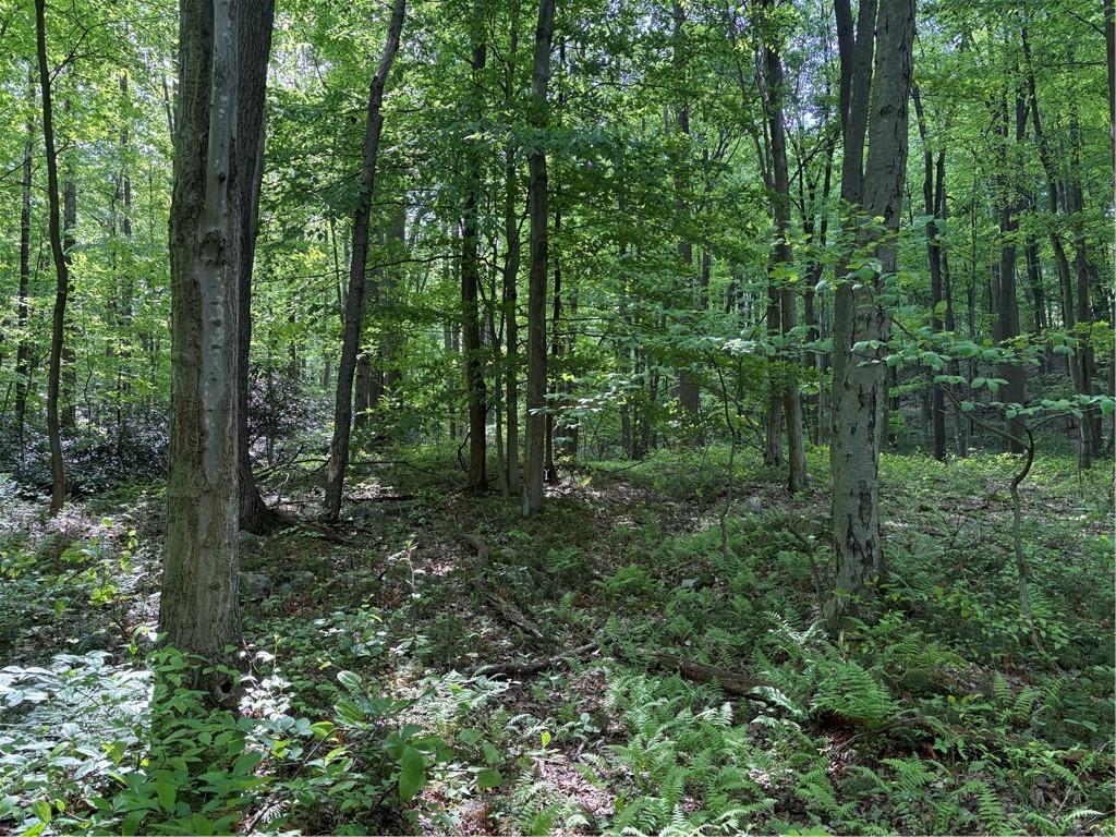 Lot 1 Cottonwood Road Acme, PA 15610 - Photo 11 of 25