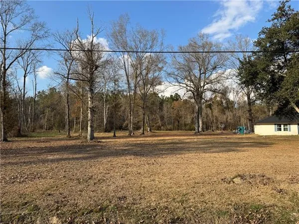 $24,900 | 2 East Shadow Lake Drive, Holden, LA 70744
