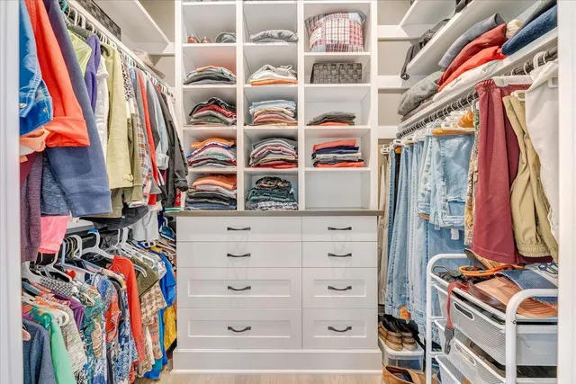 a view of a forest with trees