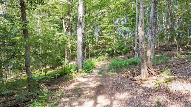 $1,490,000 | 737 Camellia Place, Moneta, VA 24121