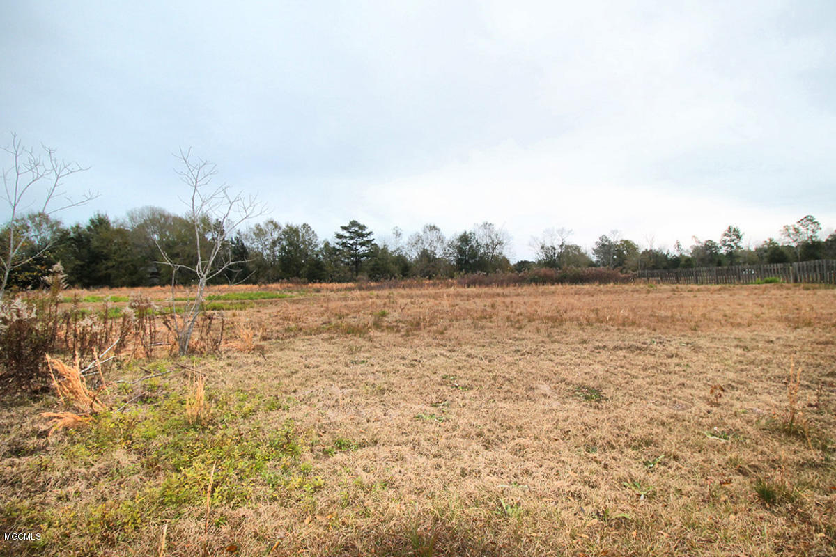 271 Grain Elevator Road Lucedale, MS 39452 - Photo 34 of 48 IMG_5577