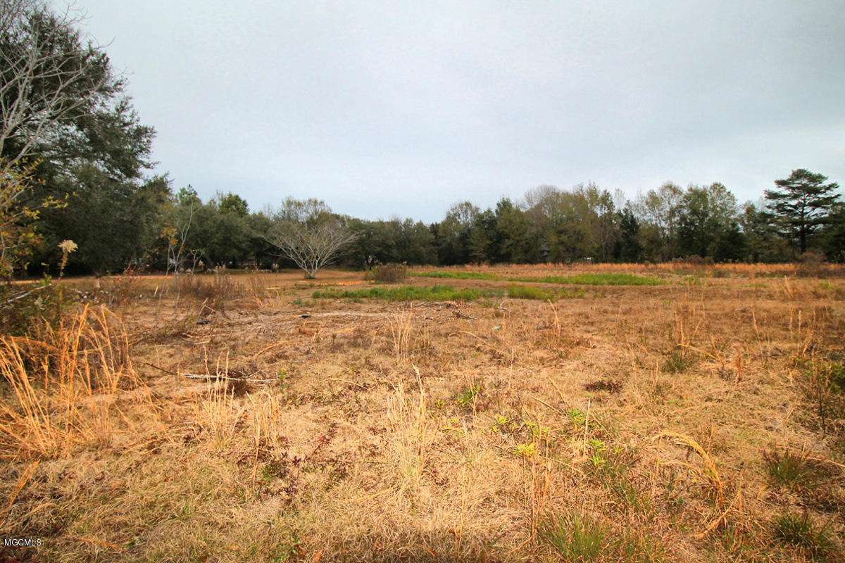 271 Grain Elevator Road Lucedale, MS 39452 - Photo 36 of 48 IMG_5579