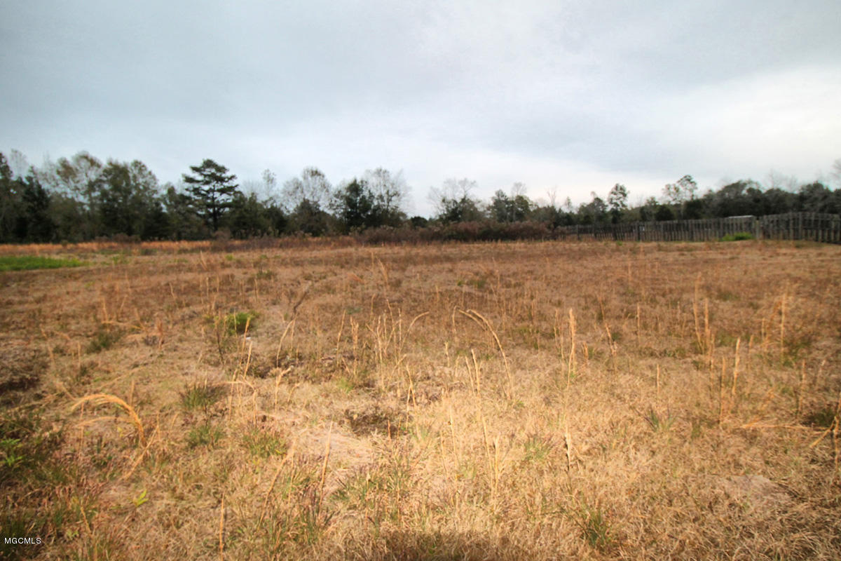 271 Grain Elevator Road Lucedale, MS 39452 - Photo 38 of 48 IMG_5582