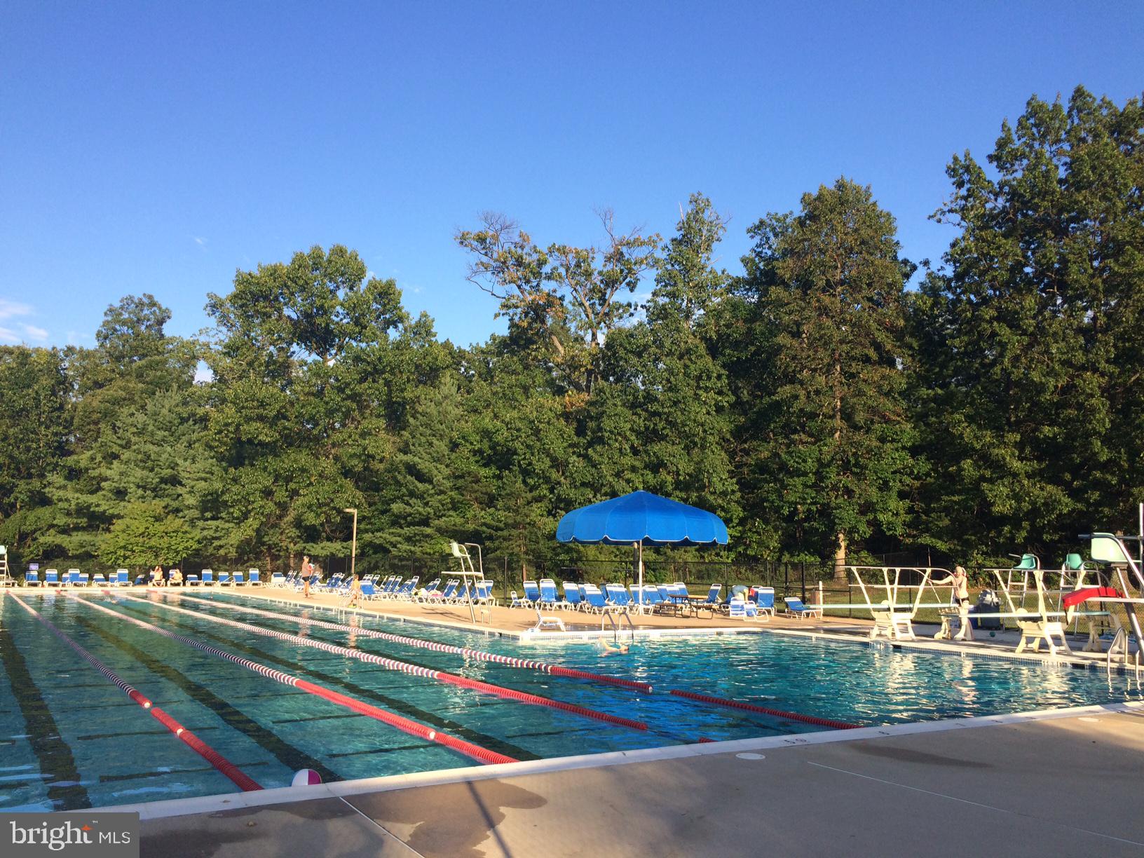2021 Approach Lane Reston, VA 20191 - Photo 54 of 58 Reston Pools