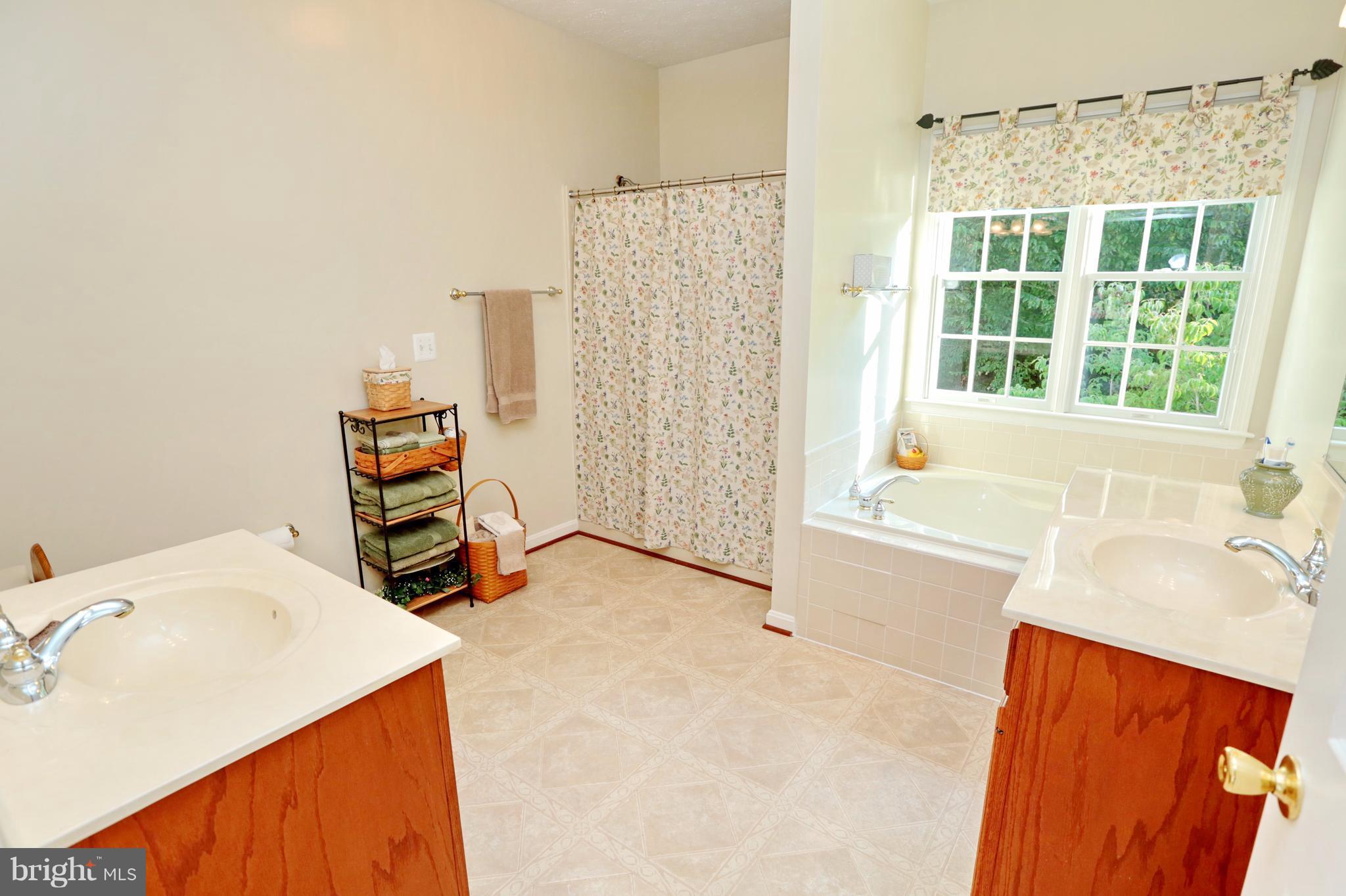138 Morgans Ridge Road La Plata, MD 20646 - Photo 17 of 30 Separate shower & tub
