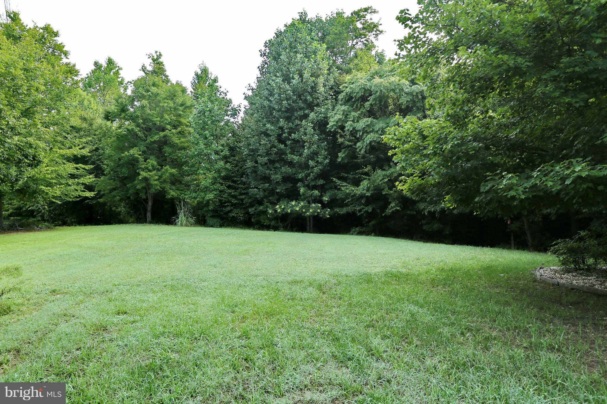 138 Morgans Ridge Road La Plata, MD 20646 - Photo 30 of 30 Backyard