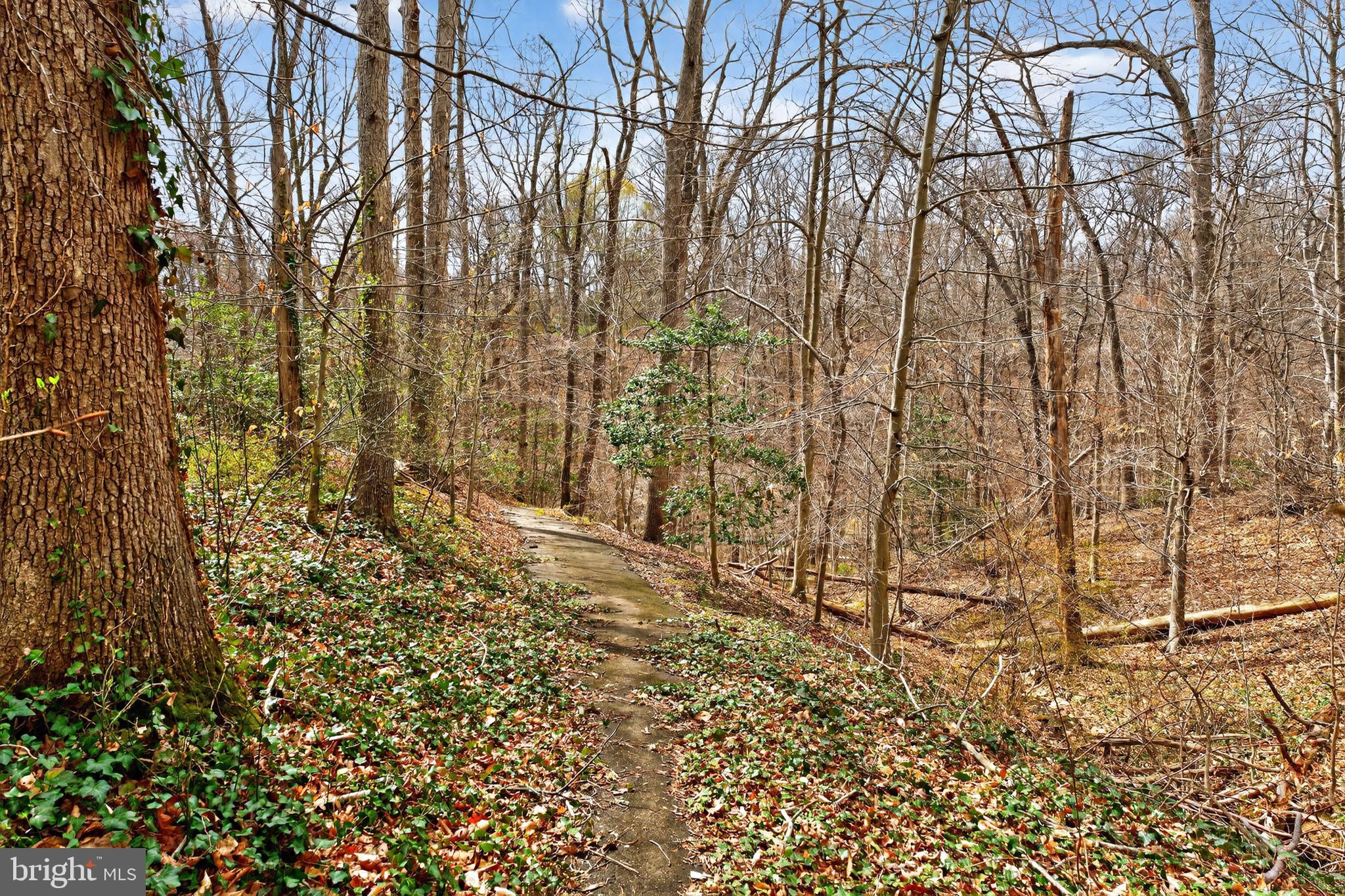 8570 Gwynedd Way Springfield, VA 22153 - Photo 30 of 37 Gallery Image 30