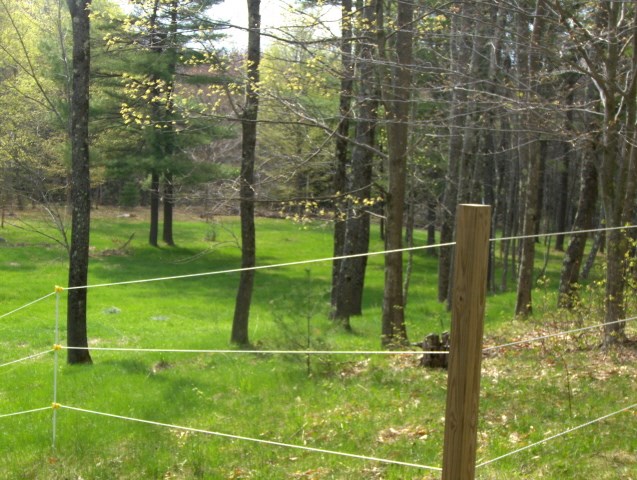 22 Cate Road Deerfield, NH 03037 - Photo 8 of 9