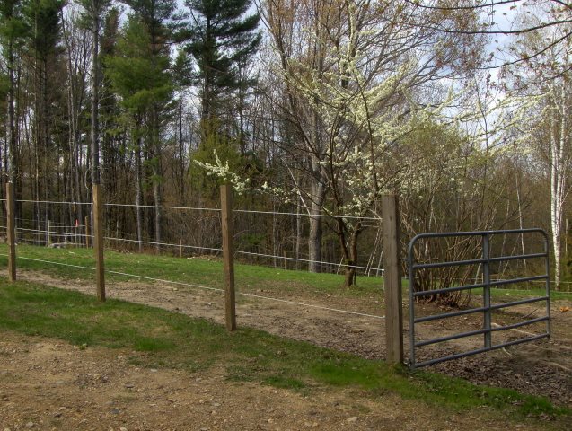 22 Cate Road Deerfield, NH 03037 - Photo 9 of 9