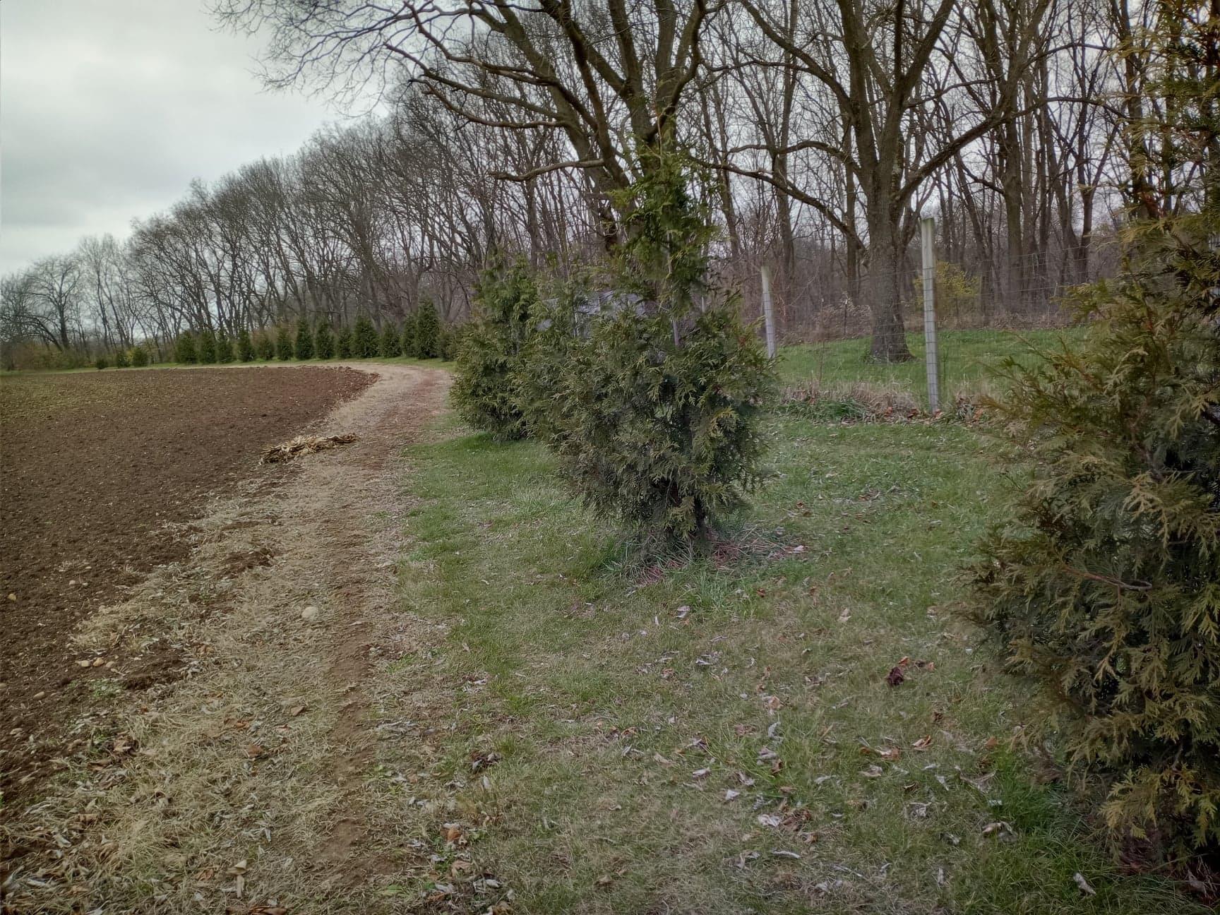 30441 Orr Road Circleville, OH 43113 - Photo 81 of 111 Gallery Image 81