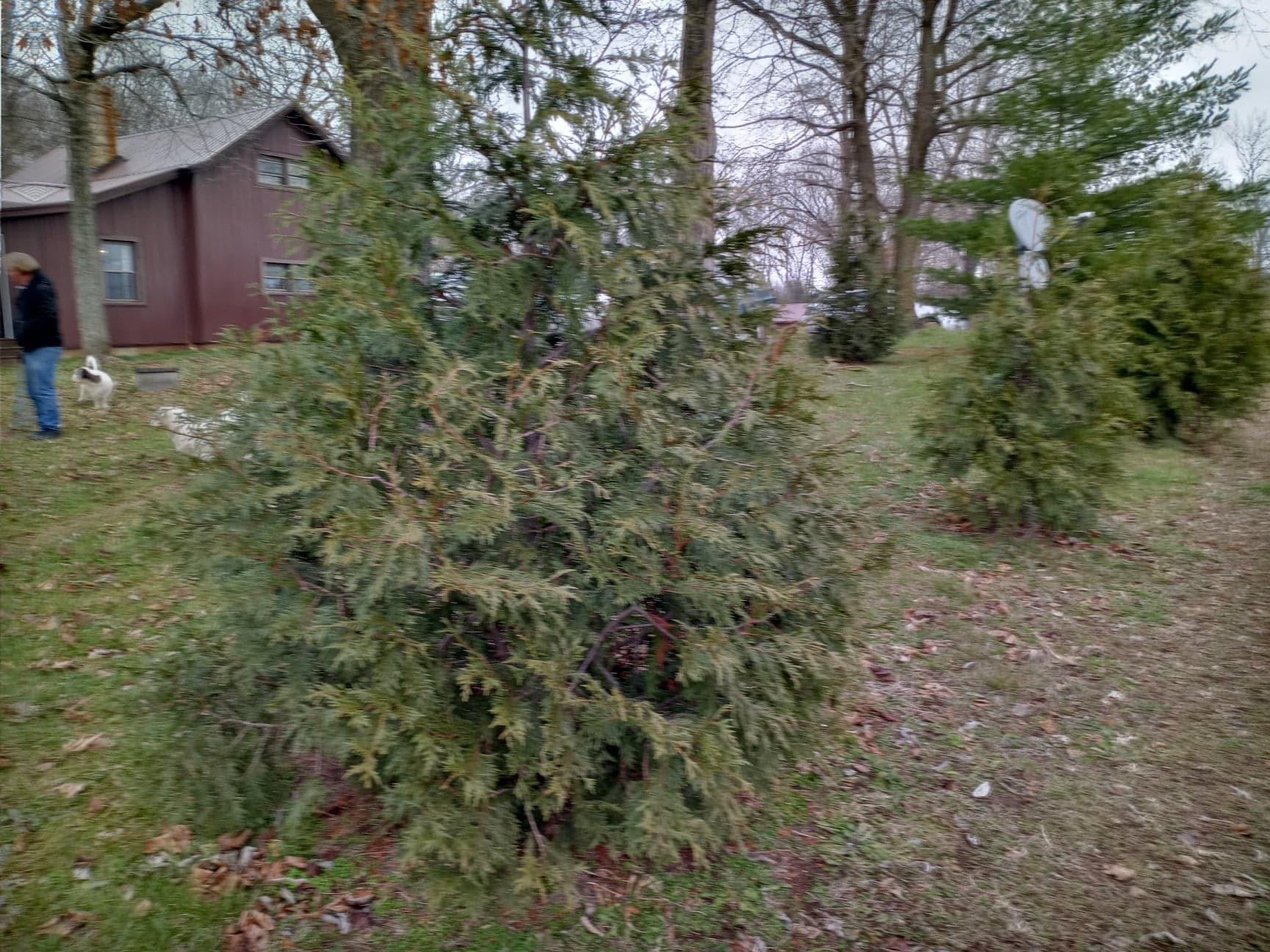 30441 Orr Road Circleville, OH 43113 - Photo 83 of 111 Gallery Image 83