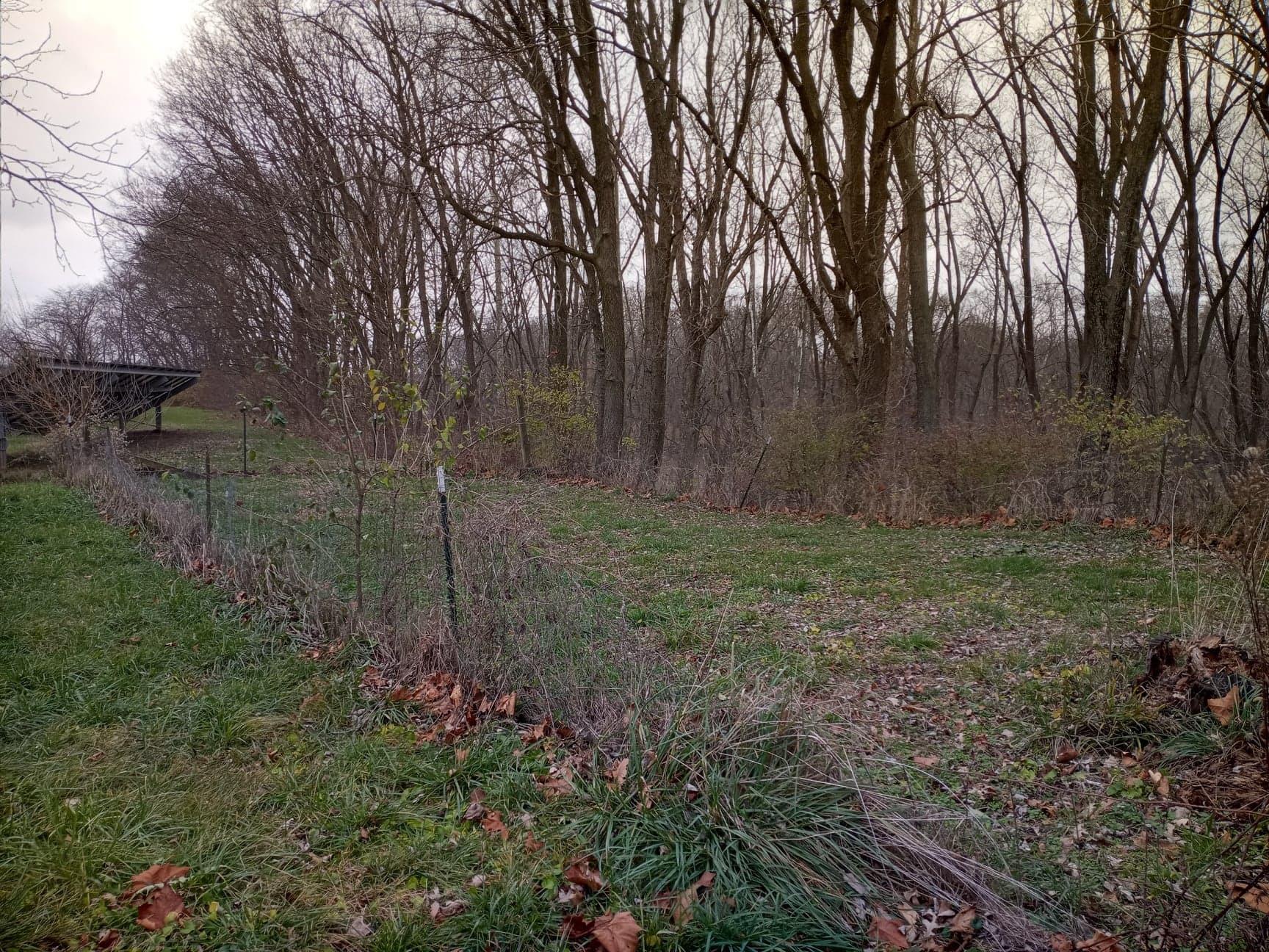 30441 Orr Road Circleville, OH 43113 - Photo 86 of 111 Gallery Image 86