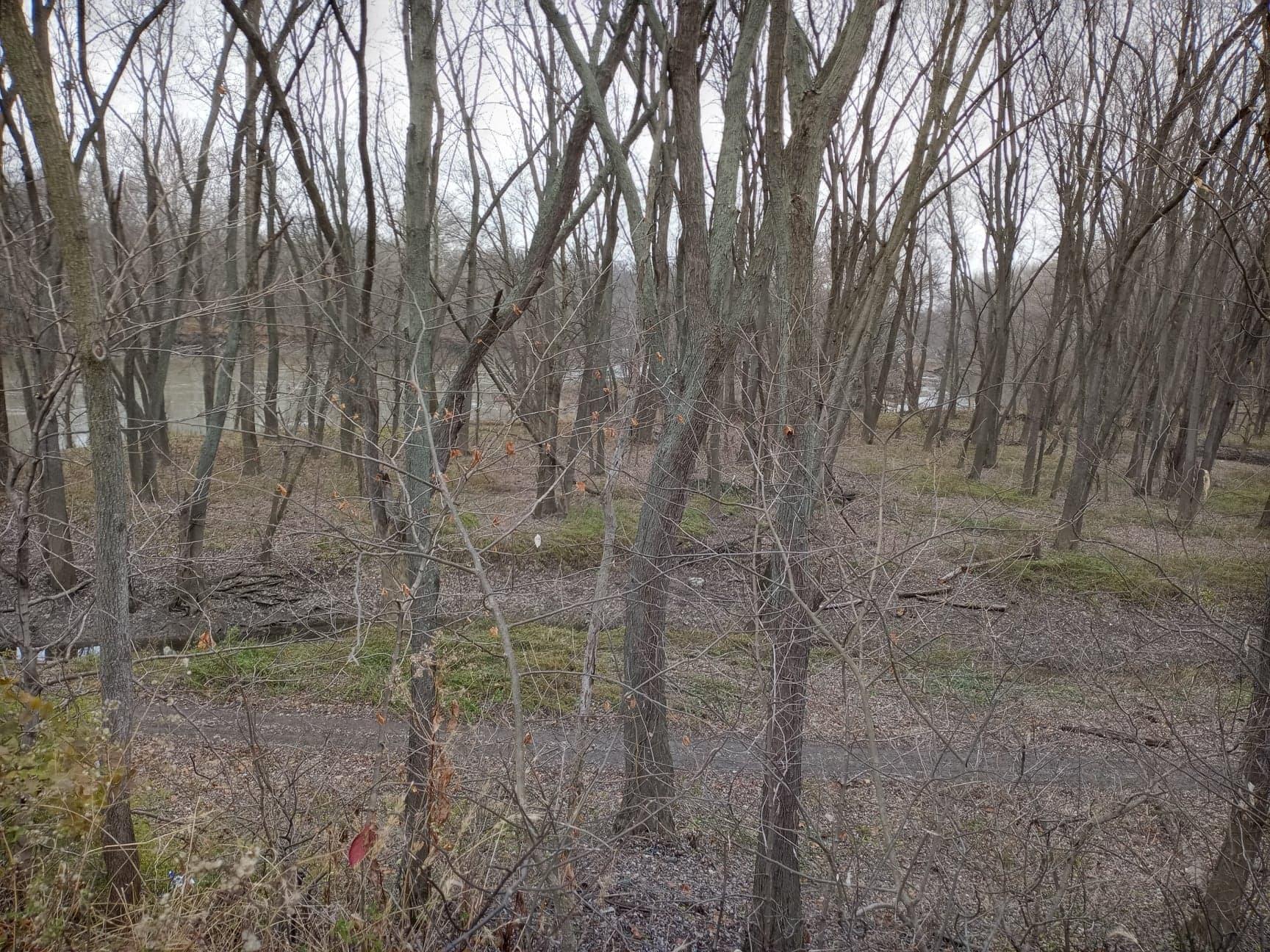 30441 Orr Road Circleville, OH 43113 - Photo 88 of 111 Gallery Image 88