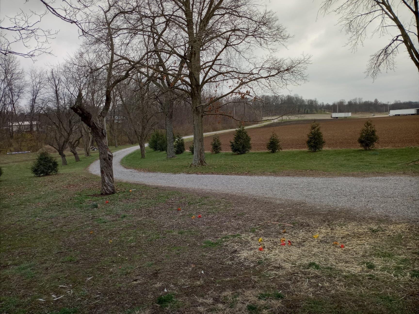 30441 Orr Road Circleville, OH 43113 - Photo 91 of 111 Gallery Image 91