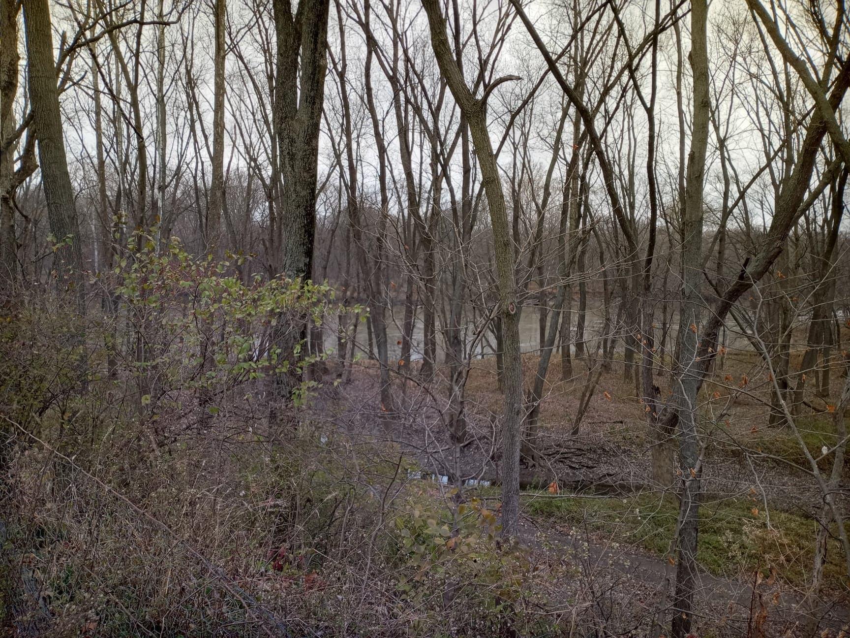30441 Orr Road Circleville, OH 43113 - Photo 95 of 111 Gallery Image 95