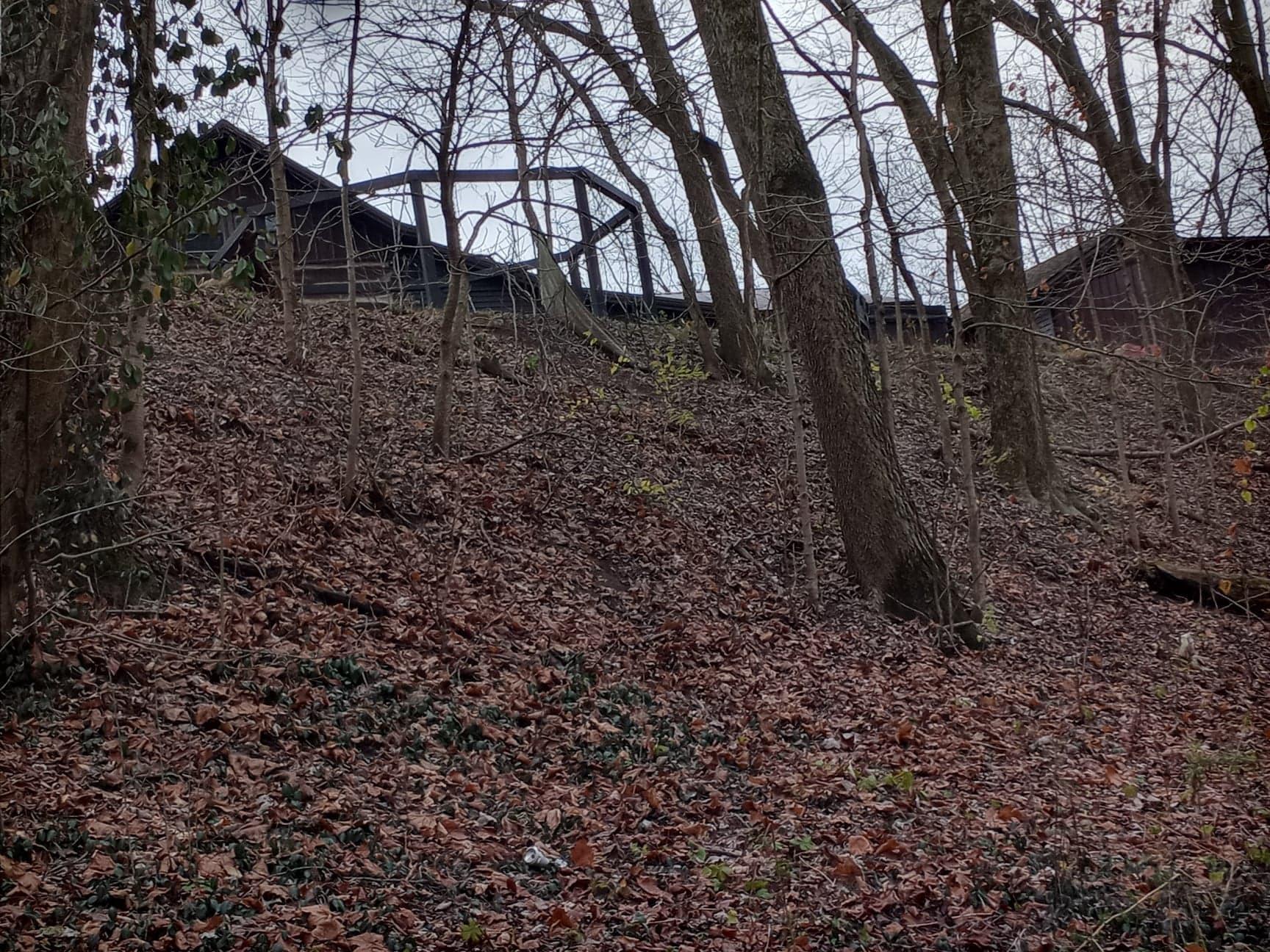 30441 Orr Road Circleville, OH 43113 - Photo 100 of 111 Gallery Image 100