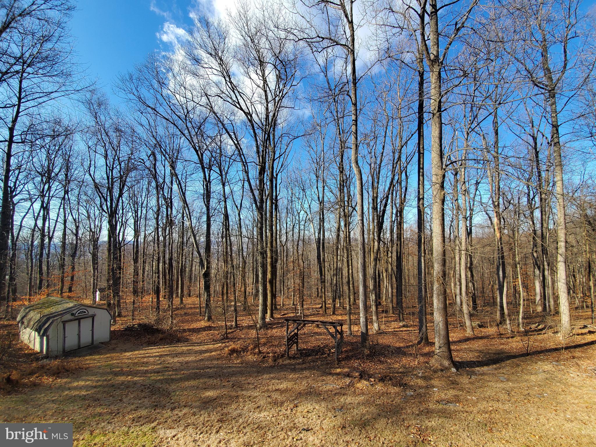 4742 Coxey Brown Road Frederick, MD 21702 - Photo 28 of 33 Stunning views of the mountains.