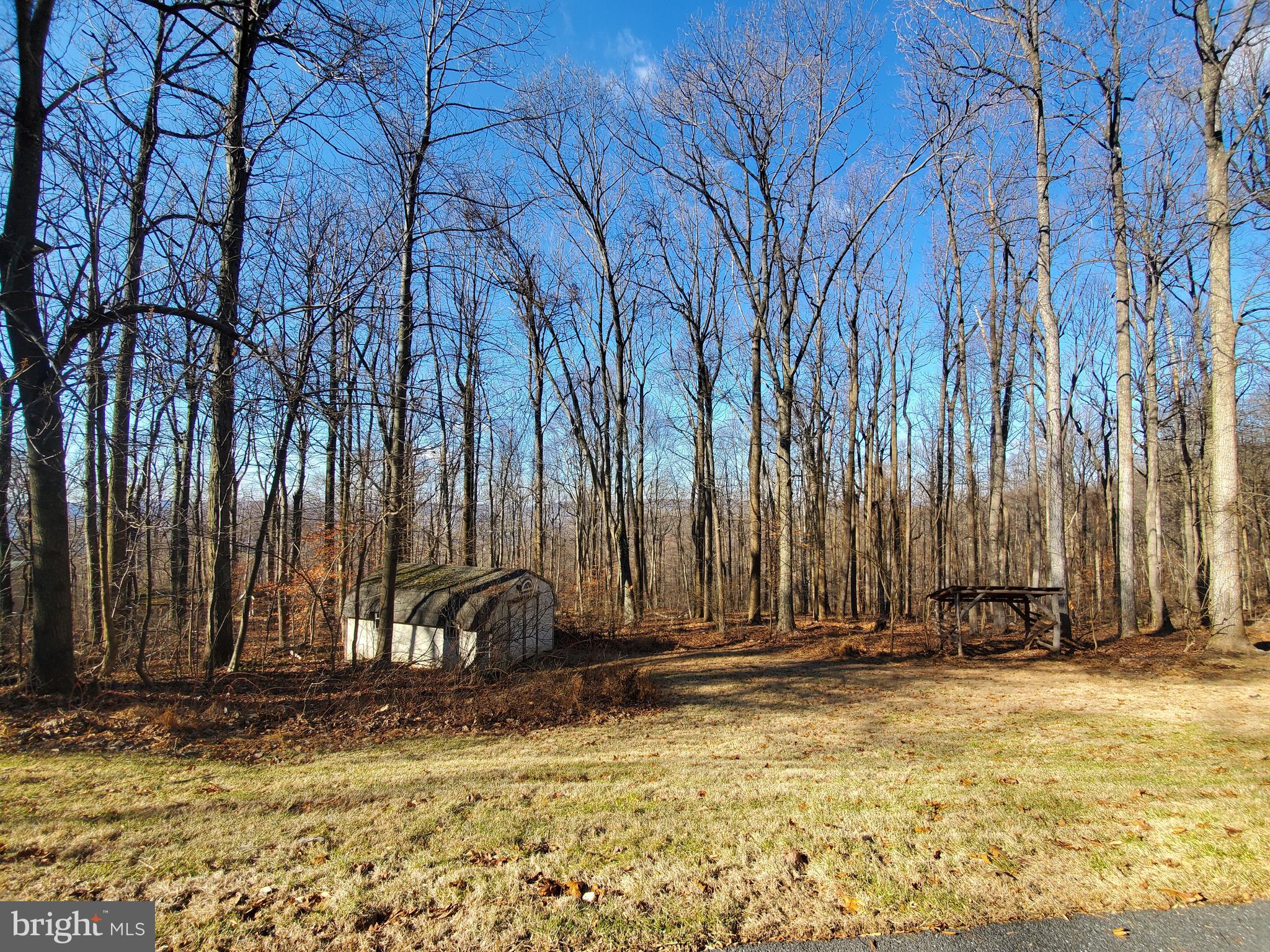 4742 Coxey Brown Road Frederick, MD 21702 - Photo 29 of 33 Rear view of property and storage shed.
