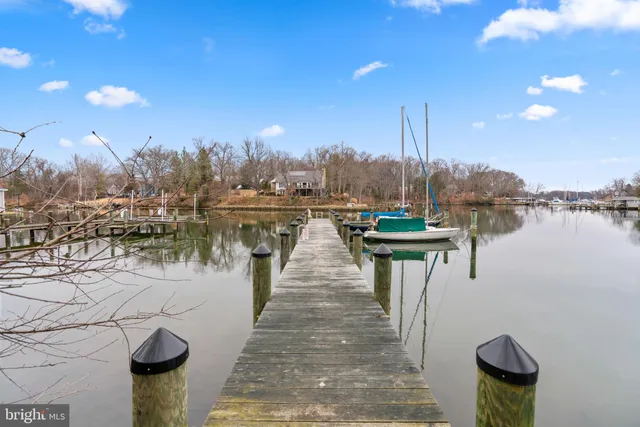 a view of a lake with boats and trees in the background