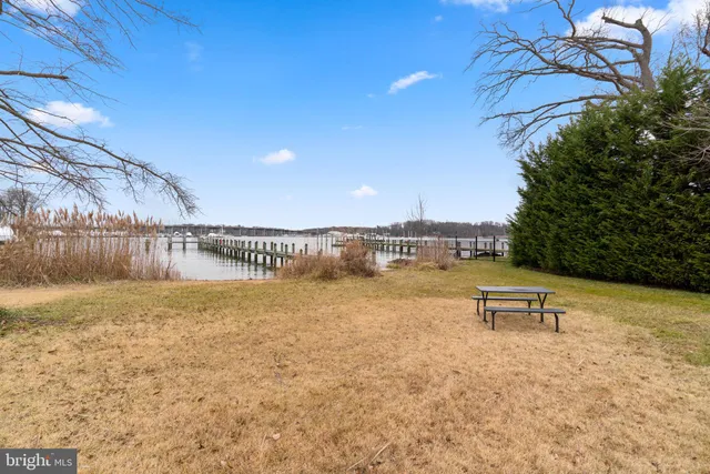 a view of a lake with a bench in the background