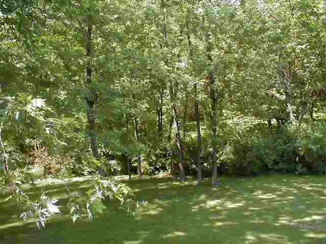 1909 Quail Hollow Road Pekin, IL 61554 - Photo 8 of 9 Gallery Image 8