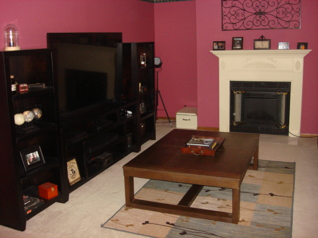 2387 North 24th Road Marseilles, IL 61341 - Photo 12 of 23 a living room with furniture and a fireplace