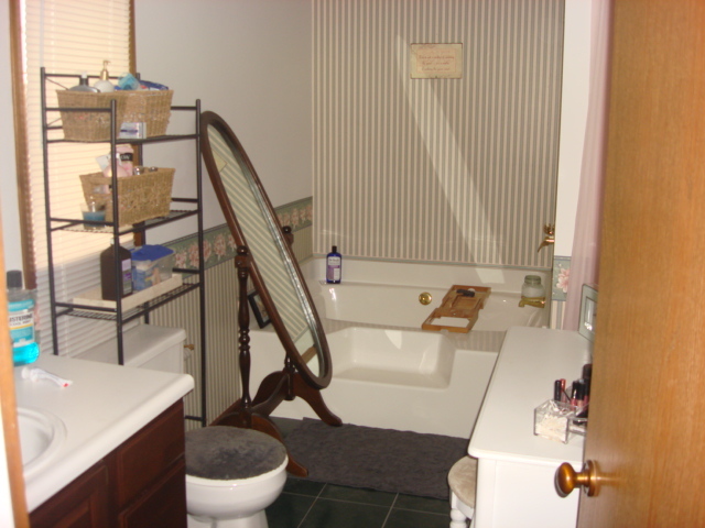 2387 North 24th Road Marseilles, IL 61341 - Photo 17 of 23 a bathroom with a sink a toilet and a mirror