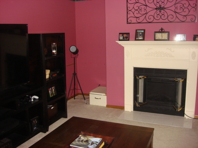 2387 North 24th Road Marseilles, IL 61341 - Photo 18 of 23 a fireplace with wooden floor