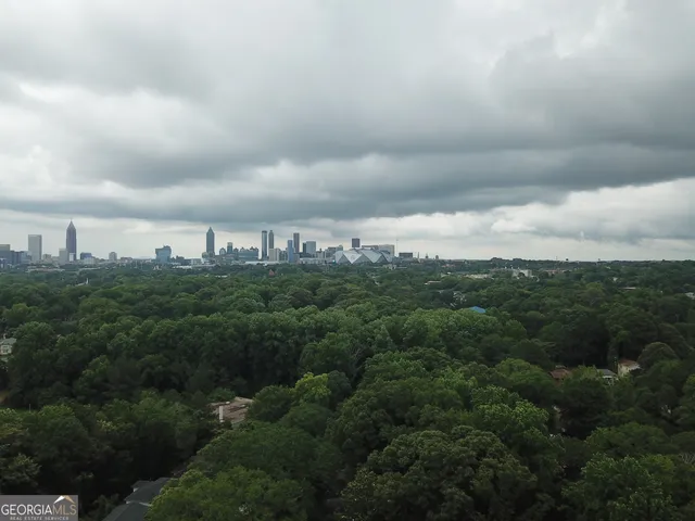 a view of a city and a bunch of trees in background