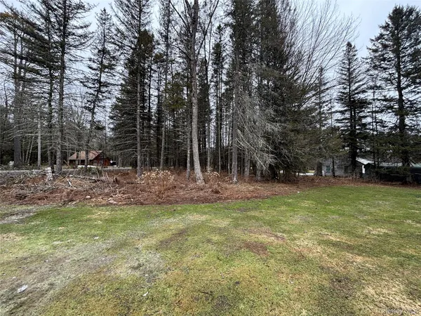 a view of outdoor space with trees all around