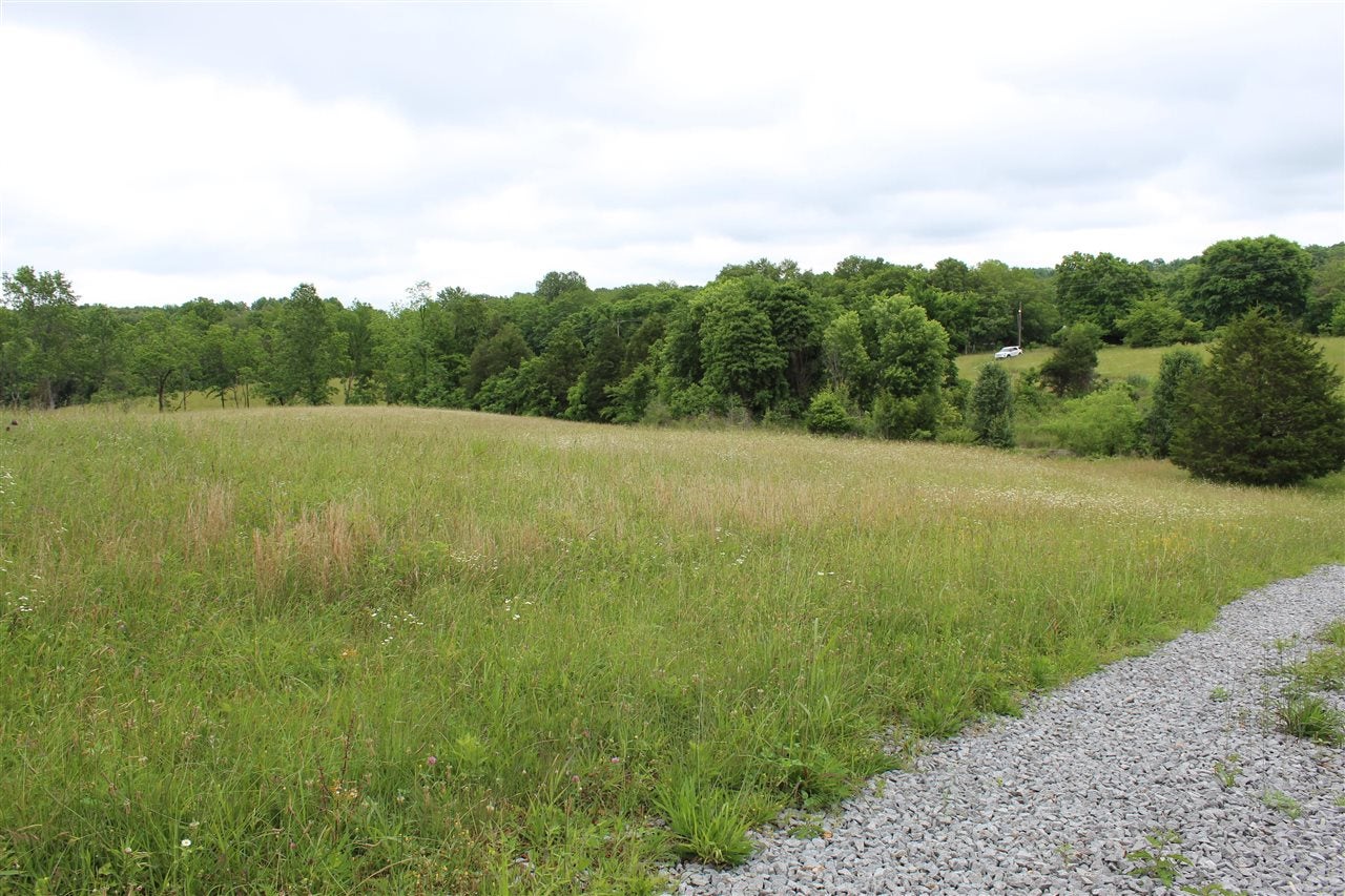 695 Calvert Road Adolphus, KY 42120 - Photo 10 of 10 Gallery Image 10
