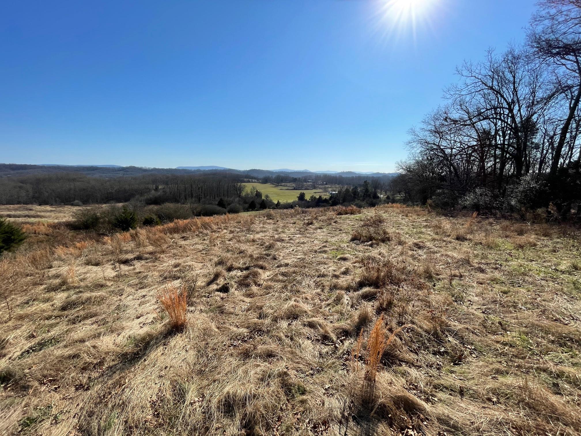 730 Co Road Calhoun, TN 37309 - Photo 1 of 5 IMG_3062