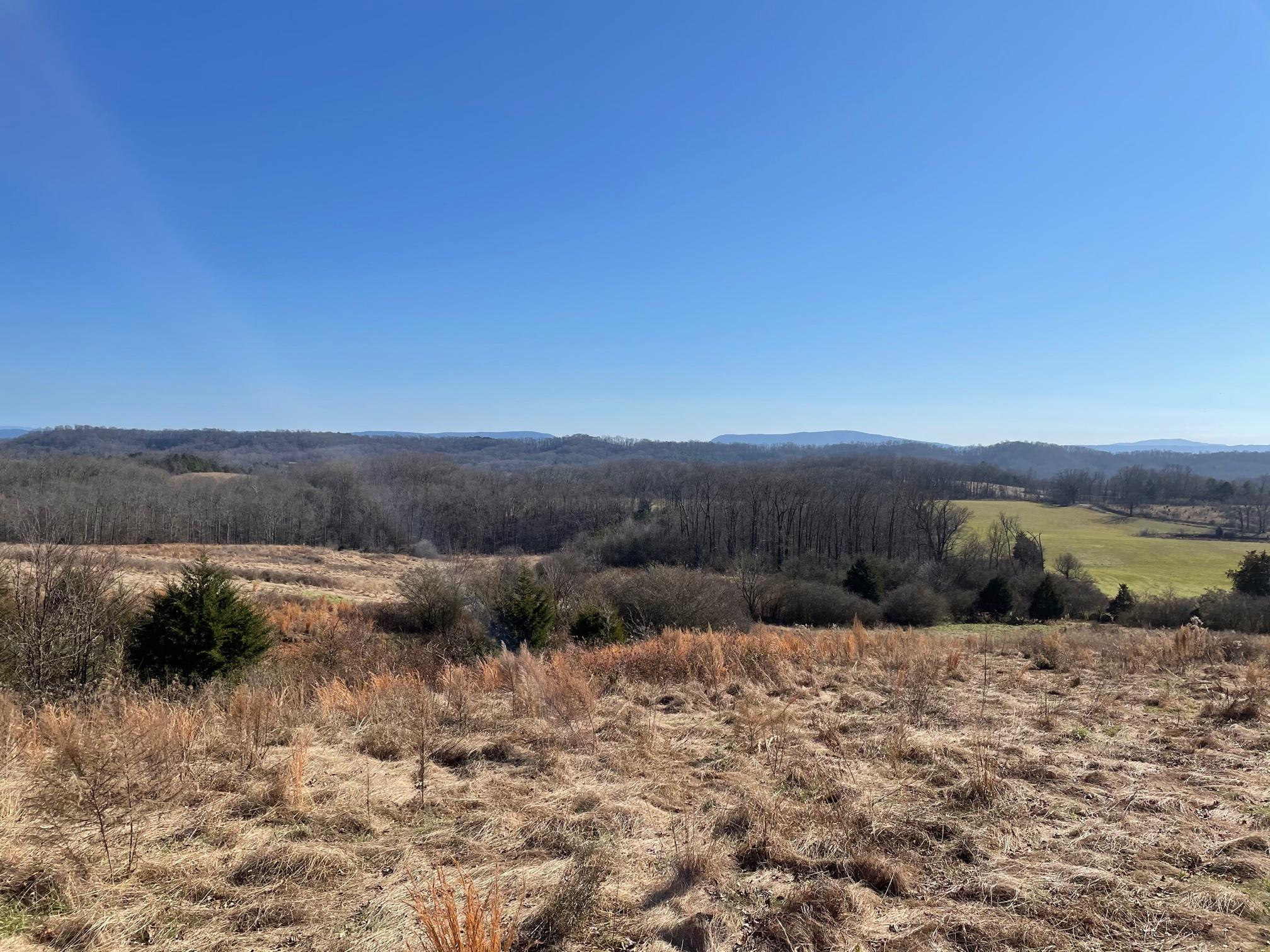 730 Co Road Calhoun, TN 37309 - Photo 2 of 5 IMG_3059