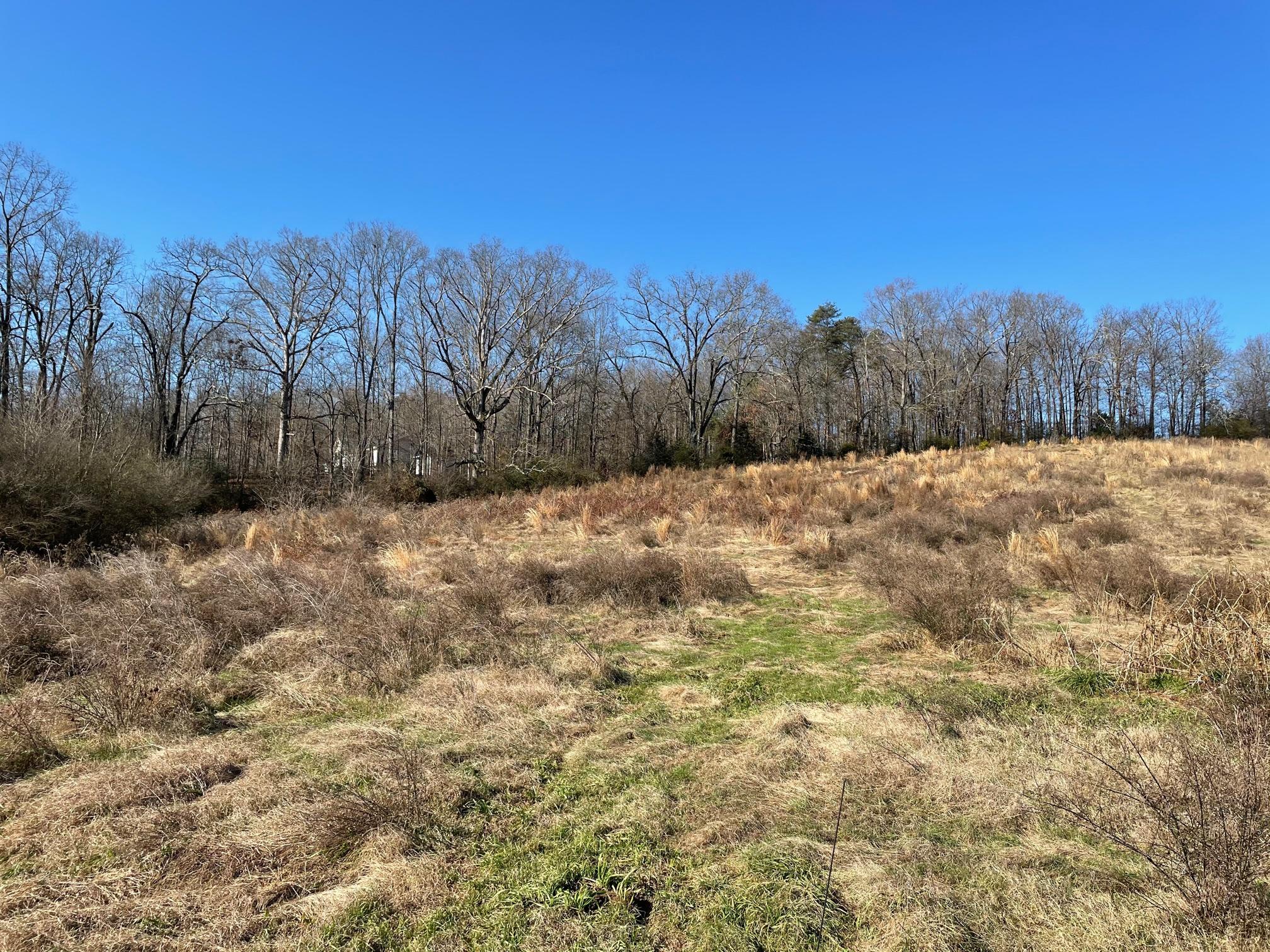 730 Co Road Calhoun, TN 37309 - Photo 3 of 5 IMG_3057