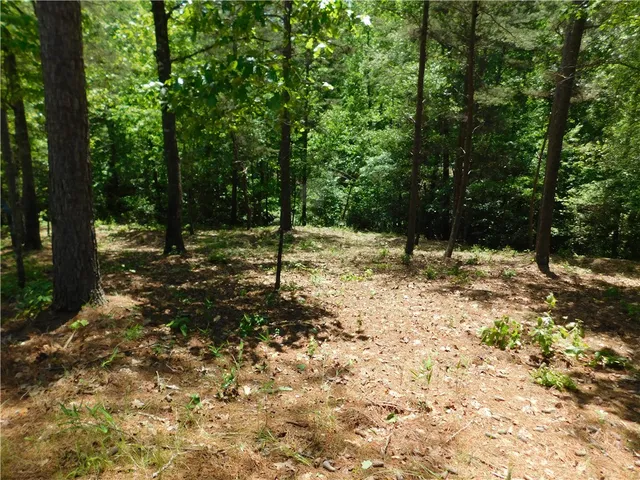 $100,000 | Lot 12 Canebrake Drive, Salem, SC 29676