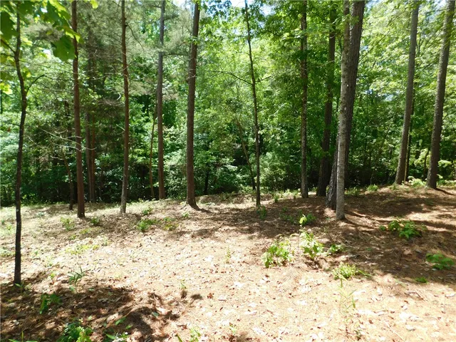 $100,000 | Lot 12 Canebrake Drive, Salem, SC 29676