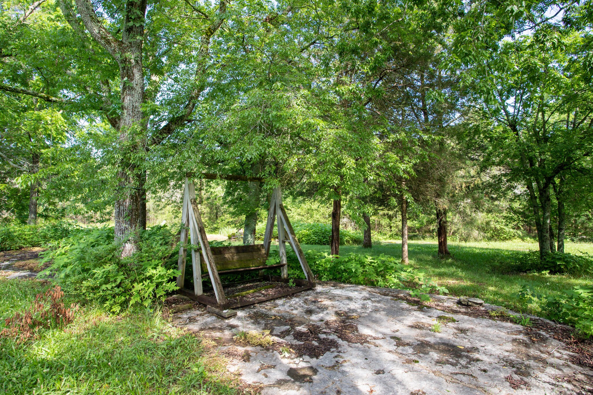 9188 Versailles Road Rockvale, TN 37153 - Photo 24 of 25 a view of a park with large trees